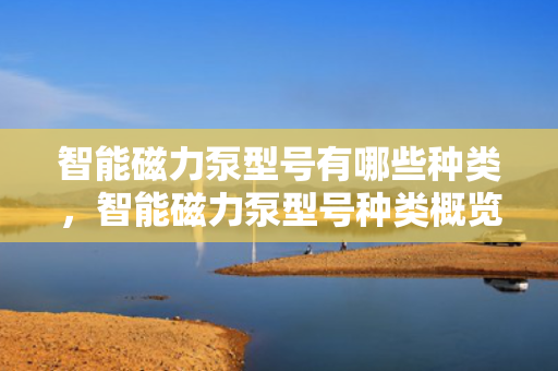 智能磁力泵型号有哪些种类，智能磁力泵型号种类概览