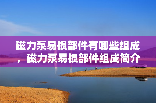 磁力泵易损部件有哪些组成，磁力泵易损部件组成简介