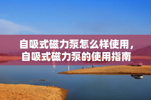 自吸式磁力泵怎么样使用，自吸式磁力泵的使用指南