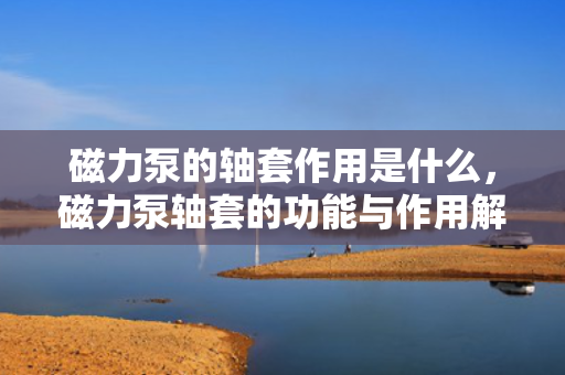 磁力泵的轴套作用是什么，磁力泵轴套的功能与作用解析