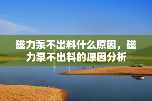 磁力泵不出料什么原因，磁力泵不出料的原因分析