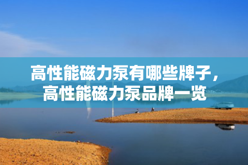 高性能磁力泵有哪些牌子，高性能磁力泵品牌一览