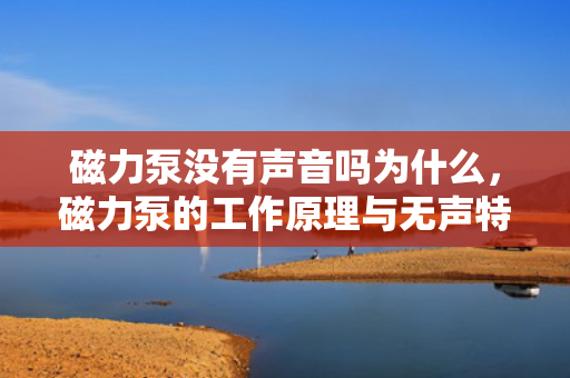 磁力泵没有声音吗为什么，磁力泵的工作原理与无声特性解析