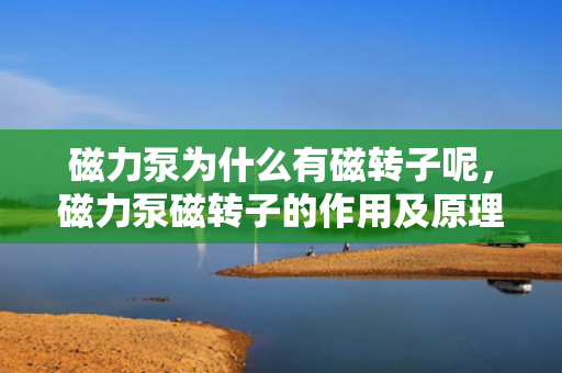磁力泵为什么有磁转子呢，磁力泵磁转子的作用及原理探究，为何需要磁转子？