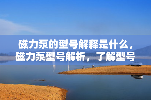 磁力泵的型号解释是什么，磁力泵型号解析，了解型号背后的含义