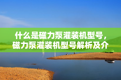 什么是磁力泵灌装机型号，磁力泵灌装机型号解析及介绍