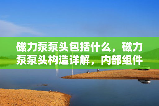 磁力泵泵头包括什么，磁力泵泵头构造详解，内部组件与功能概述