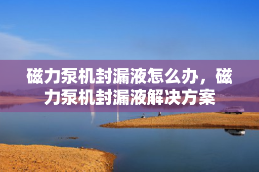 磁力泵机封漏液怎么办，磁力泵机封漏液解决方案
