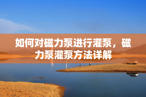 如何对磁力泵进行灌泵，磁力泵灌泵方法详解