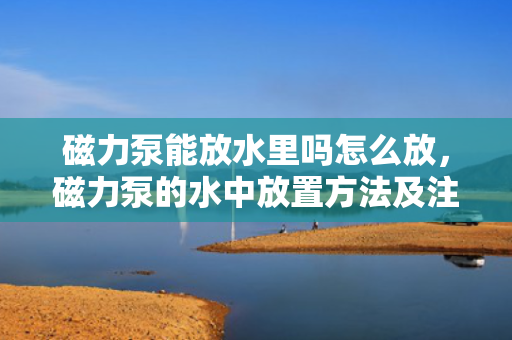 磁力泵能放水里吗怎么放，磁力泵的水中放置方法及注意事项