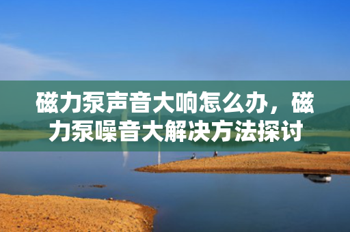 磁力泵声音大响怎么办，磁力泵噪音大解决方法探讨