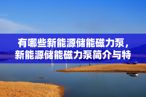 有哪些新能源储能磁力泵，新能源储能磁力泵简介与特点