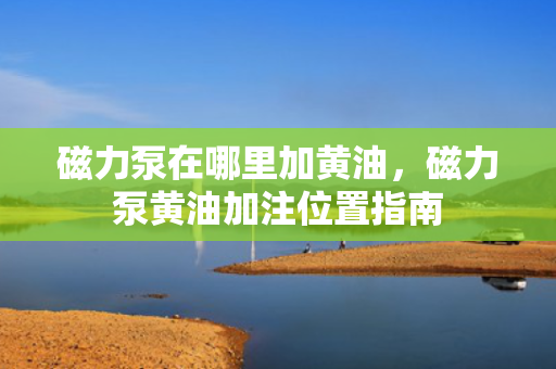 磁力泵在哪里加黄油，磁力泵黄油加注位置指南