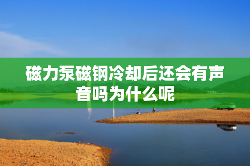 磁力泵磁钢冷却后还会有声音吗为什么呢