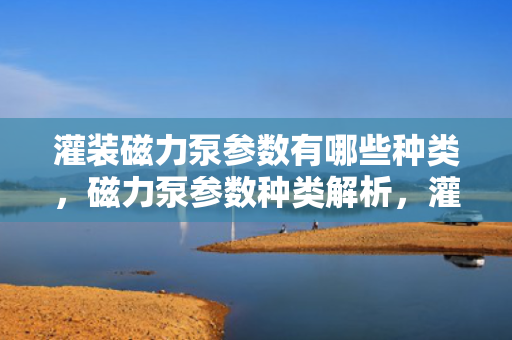 灌装磁力泵参数有哪些种类，磁力泵参数种类解析，灌装磁力泵特性概览