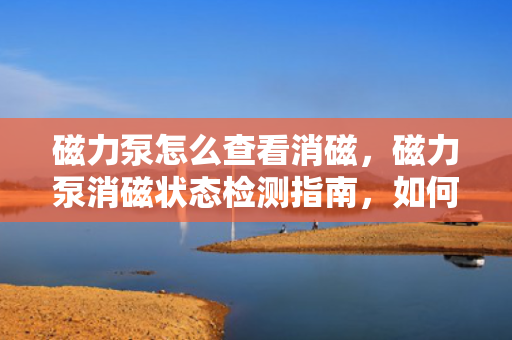 磁力泵怎么查看消磁，磁力泵消磁状态检测指南，如何查看磁力泵是否消磁？