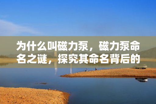 为什么叫磁力泵，磁力泵命名之谜，探究其命名背后的原因