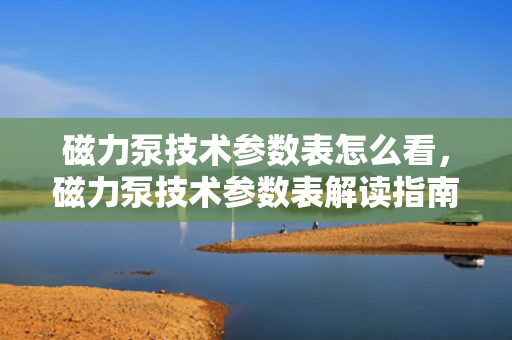 磁力泵技术参数表怎么看，磁力泵技术参数表解读指南