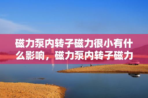 磁力泵内转子磁力很小有什么影响，磁力泵内转子磁力减小的影响分析