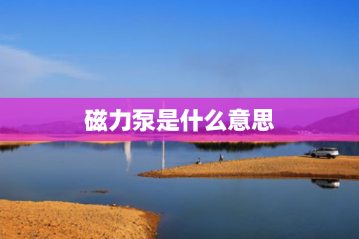 磁力泵是什么意思 磁力泵是什么意思