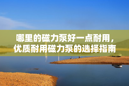 哪里的磁力泵好一点耐用，优质耐用磁力泵的选择指南，寻找行业内的佼佼者