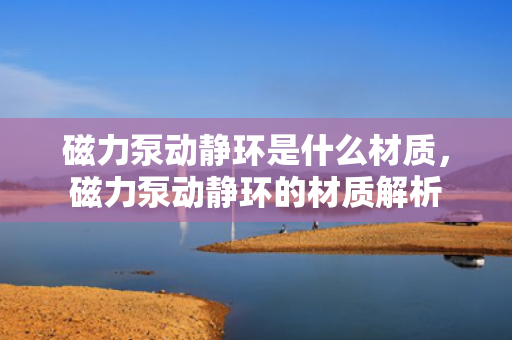 磁力泵动静环是什么材质，磁力泵动静环的材质解析