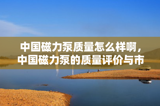 中国磁力泵质量怎么样啊，中国磁力泵的质量评价与市场表现