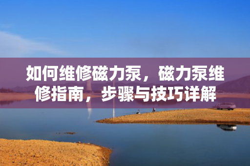 如何维修磁力泵，磁力泵维修指南，步骤与技巧详解