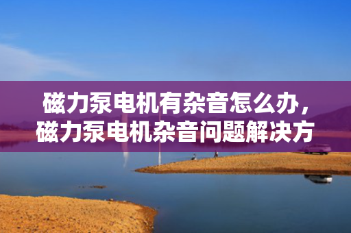 磁力泵电机有杂音怎么办，磁力泵电机杂音问题解决方案