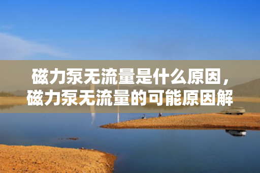 磁力泵无流量是什么原因，磁力泵无流量的可能原因解析