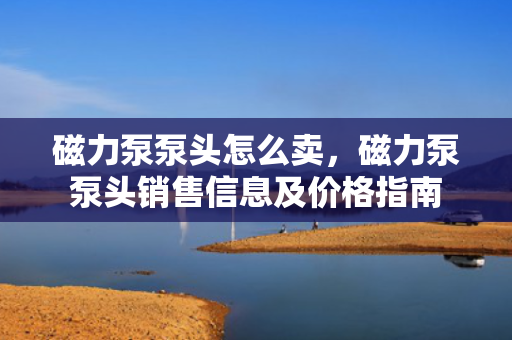 磁力泵泵头怎么卖，磁力泵泵头销售信息及价格指南