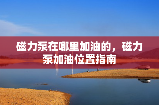 磁力泵在哪里加油的，磁力泵加油位置指南