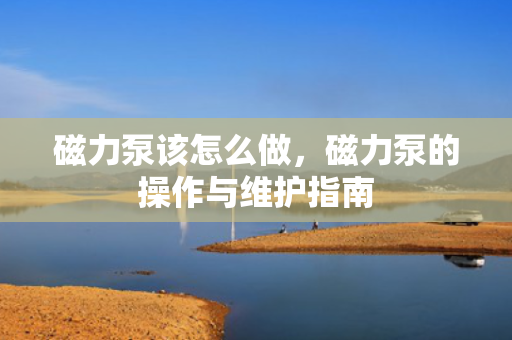 磁力泵该怎么做，磁力泵的操作与维护指南