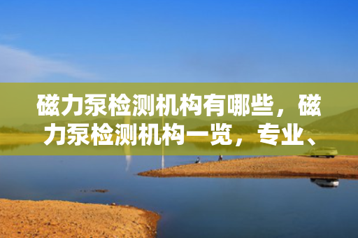 磁力泵检测机构有哪些，磁力泵检测机构一览，专业、可靠的检测服务提供者