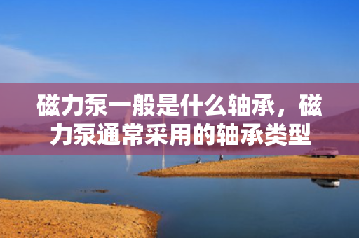 磁力泵一般是什么轴承，磁力泵通常采用的轴承类型