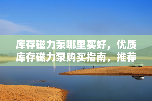 库存磁力泵哪里买好，优质库存磁力泵购买指南，推荐最佳购买地点