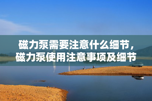 磁力泵需要注意什么细节，磁力泵使用注意事项及细节指南