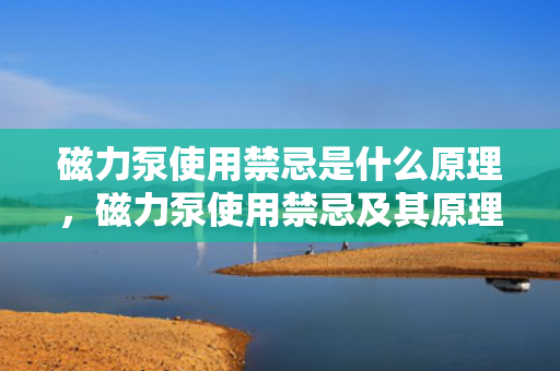 磁力泵使用禁忌是什么原理，磁力泵使用禁忌及其原理解析