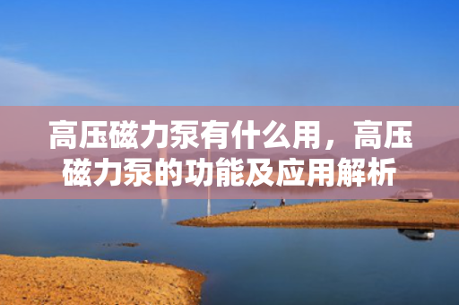 高压磁力泵有什么用，高压磁力泵的功能及应用解析