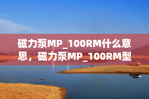 磁力泵MP_100RM什么意思，磁力泵MP_100RM型号解读及其特点