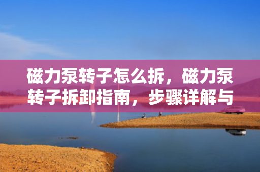 磁力泵转子怎么拆，磁力泵转子拆卸指南，步骤详解与注意事项