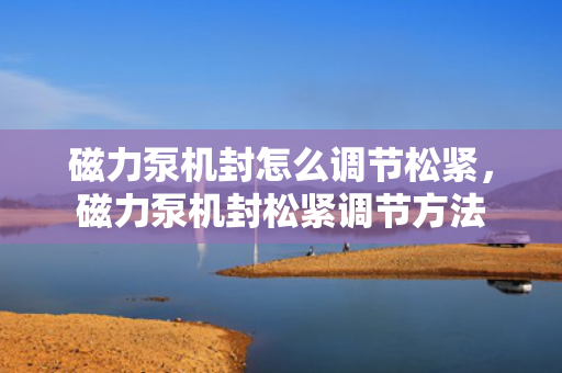 磁力泵机封怎么调节松紧，磁力泵机封松紧调节方法