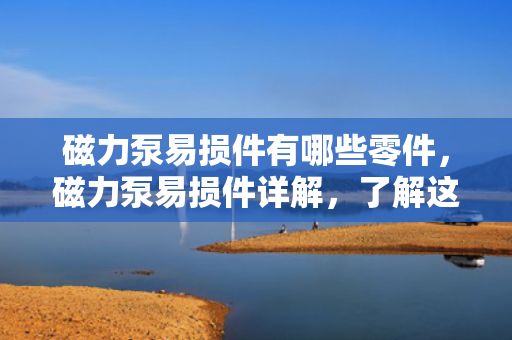 磁力泵易损件有哪些零件，磁力泵易损件详解，了解这些关键零件，确保设备顺畅运行
