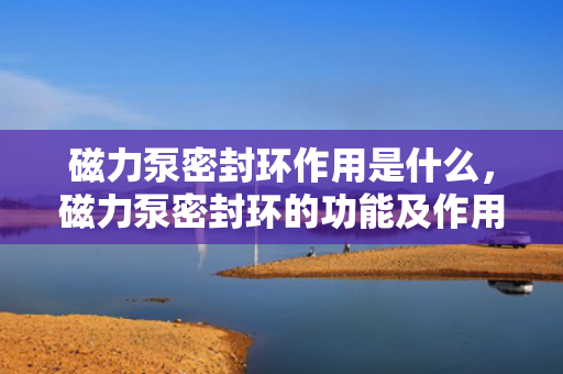 磁力泵密封环作用是什么，磁力泵密封环的功能及作用解析