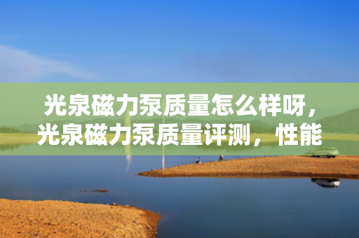 光泉磁力泵质量怎么样呀，光泉磁力泵质量评测，性能与耐用性探究