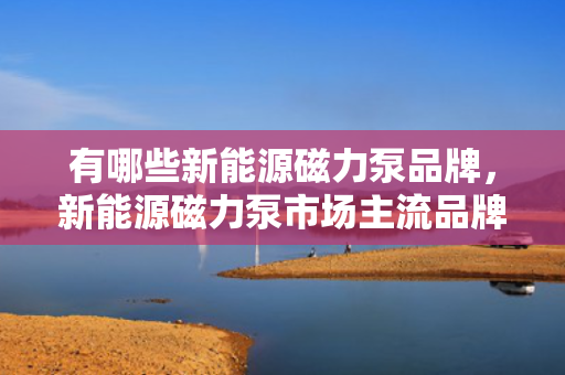 有哪些新能源磁力泵品牌，新能源磁力泵市场主流品牌推荐