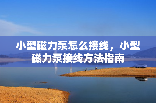 小型磁力泵怎么接线，小型磁力泵接线方法指南