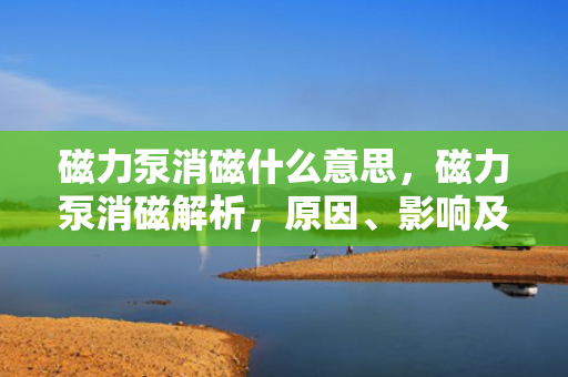 磁力泵消磁什么意思，磁力泵消磁解析，原因、影响及解决方案