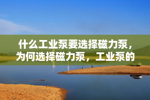 什么工业泵要选择磁力泵，为何选择磁力泵，工业泵的理想之选