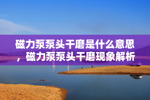 磁力泵泵头干磨是什么意思，磁力泵泵头干磨现象解析